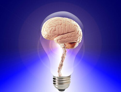 Brain Booster #8