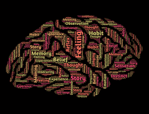 Brain Booster #5